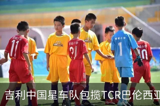 吉利中国星车队包揽TCR巴伦西亚站三回合冠军